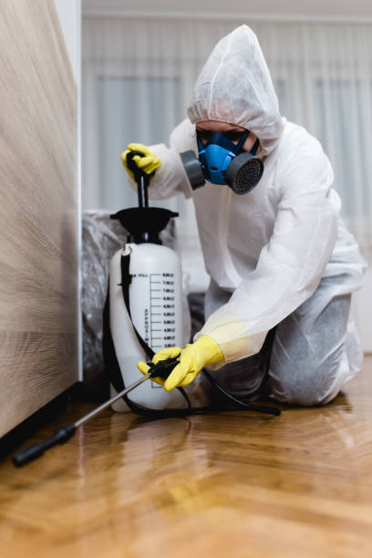 Reliable Fredericktown, MO Pest Control Solutions